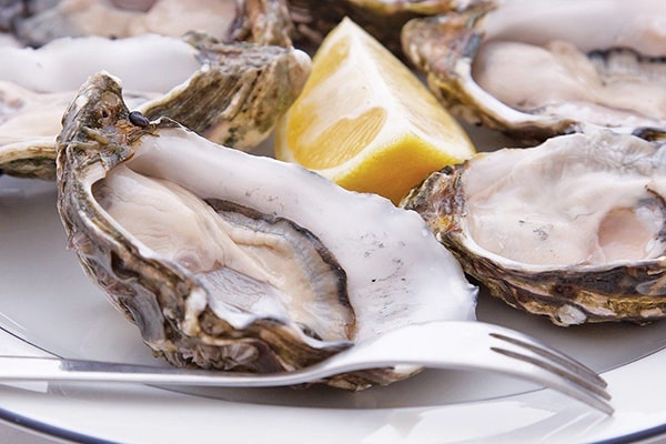 What do oysters taste like